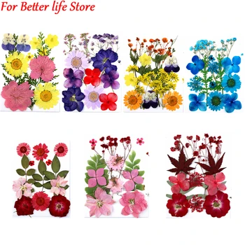 1 пакет сухих цветов, наклейки из прессованных цветов для чехла для телефона 