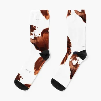 Носки Welsh Springer Spaniel Art Socks Crossfit socks hiking